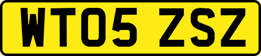 WT05ZSZ