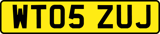 WT05ZUJ