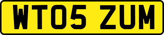 WT05ZUM
