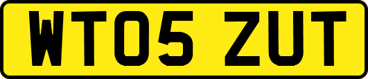 WT05ZUT