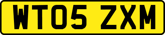 WT05ZXM