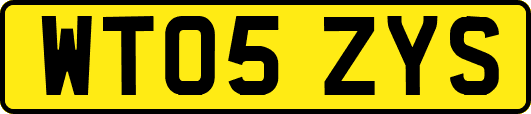 WT05ZYS