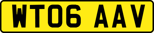 WT06AAV