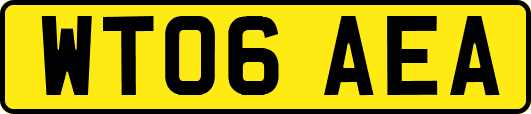 WT06AEA