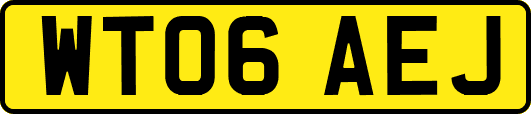 WT06AEJ
