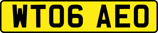 WT06AEO