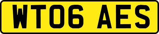 WT06AES