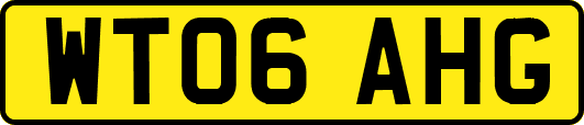 WT06AHG