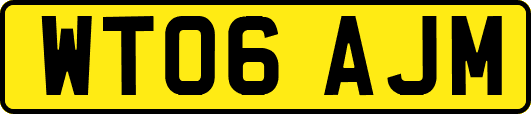 WT06AJM