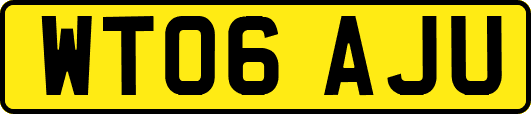 WT06AJU