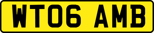 WT06AMB