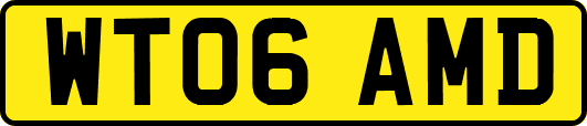WT06AMD