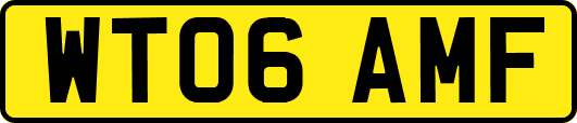 WT06AMF