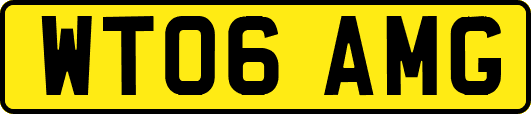 WT06AMG