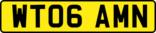 WT06AMN