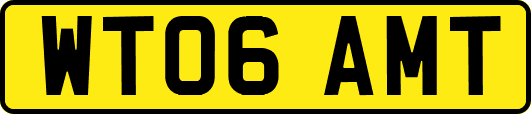 WT06AMT
