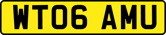 WT06AMU