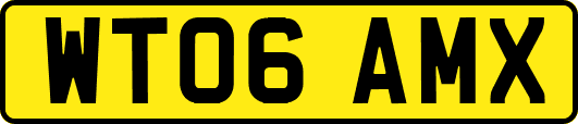 WT06AMX