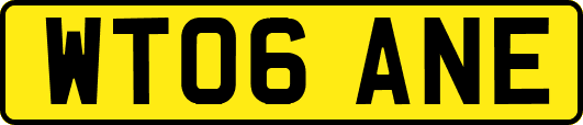 WT06ANE