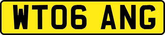 WT06ANG