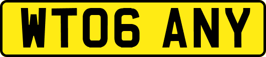 WT06ANY