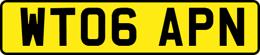 WT06APN