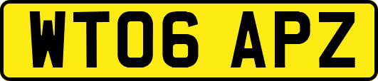 WT06APZ