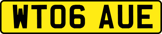 WT06AUE