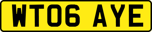 WT06AYE