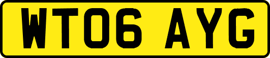 WT06AYG
