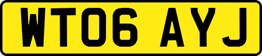 WT06AYJ