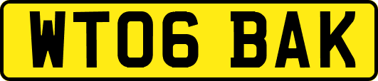 WT06BAK