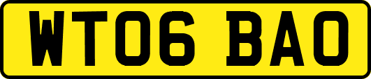 WT06BAO