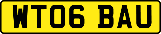 WT06BAU