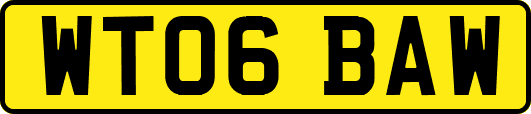 WT06BAW