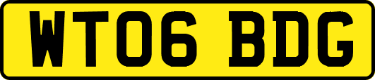 WT06BDG