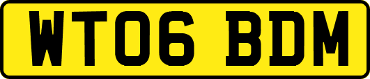 WT06BDM