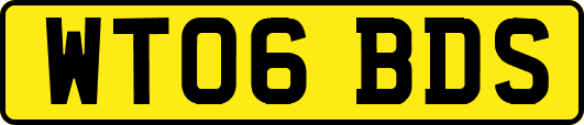 WT06BDS