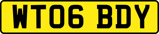 WT06BDY