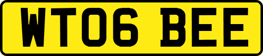 WT06BEE