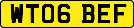 WT06BEF