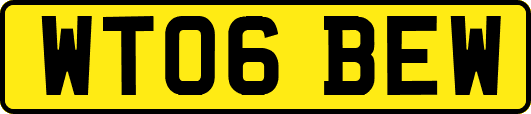 WT06BEW
