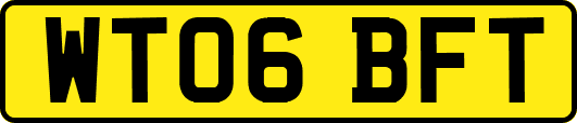 WT06BFT