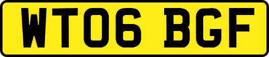 WT06BGF
