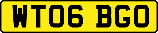 WT06BGO