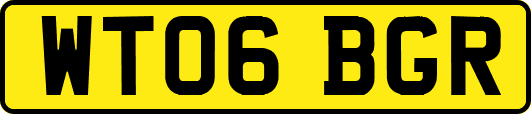 WT06BGR