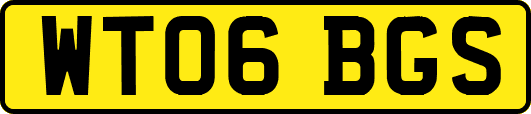 WT06BGS