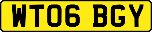 WT06BGY