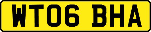 WT06BHA