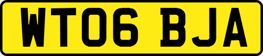 WT06BJA